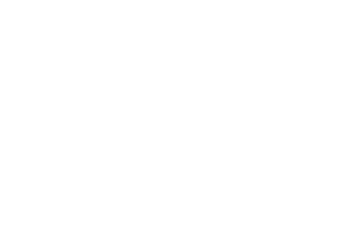 Dragonfly Home Inspections Ottawa & Area